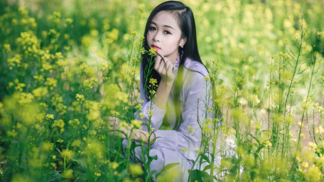 Обои картинки фото девушки, - азиатки, луг, азиатка, цветы