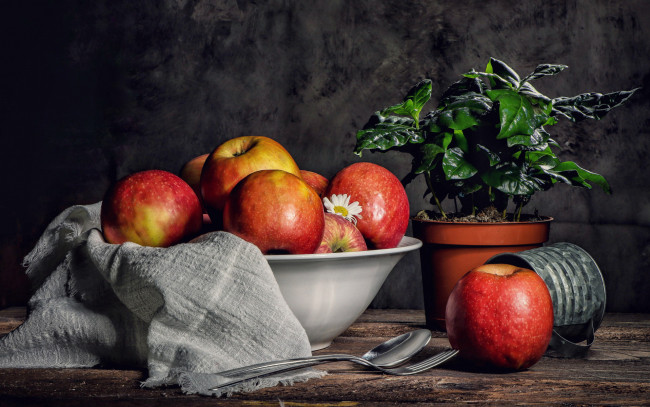 Обои картинки фото еда, яблоки, миска, вазон