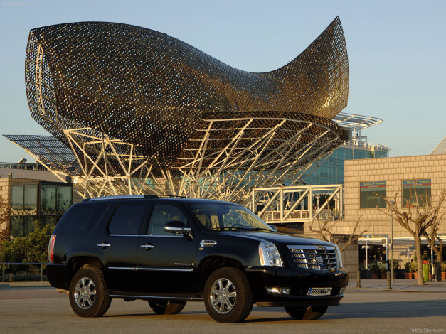 Обои картинки фото автомобили, cadillac