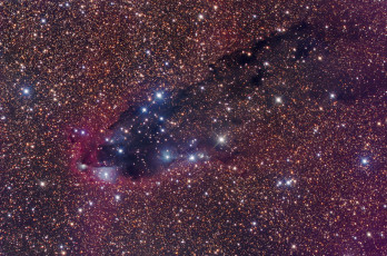 Картинка космос звезды созвездия dark nebula scorpius звездообразование скорпион темная туманность star formation