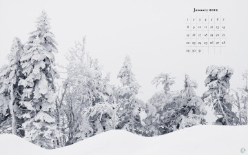 Картинка календари природа зима снег деревья