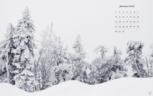Обои картинки фото календари, природа, зима, снег, деревья