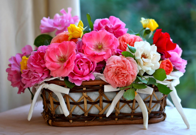 Обои картинки фото цветы, розы, много, корзинка