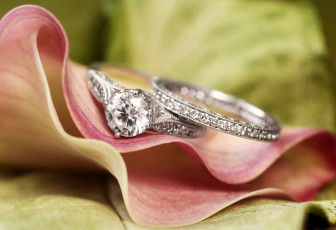 Картинка разное украшения аксессуары веера кольца бриллиант