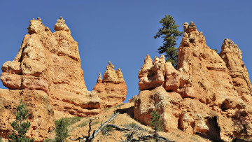 Картинка природа горы скалы камни дерево