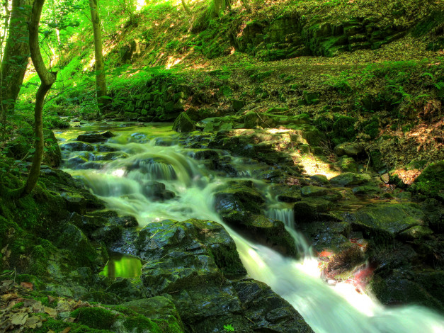 Обои картинки фото ziegelbach, wasserfall, австрия, природа, водопады, лес, водопад