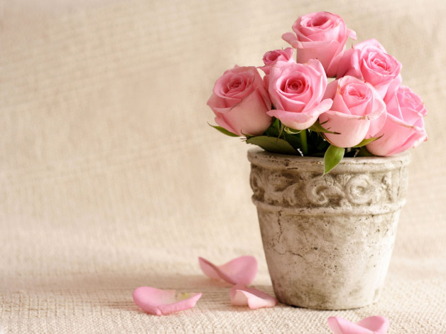 Обои картинки фото цветы, розы, ваза, бутоны
