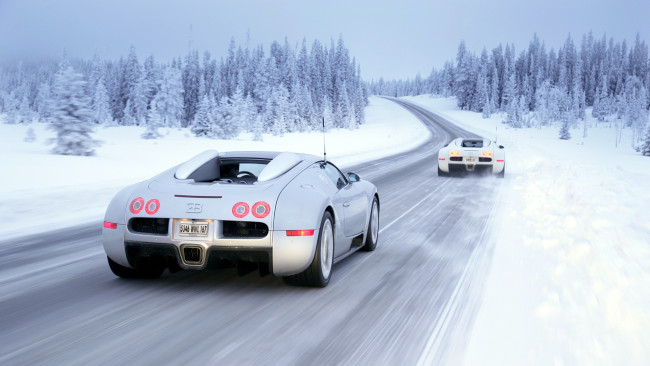 Обои картинки фото bugatti, veyron, автомобили, мощь, стиль, автомобиль, скорость