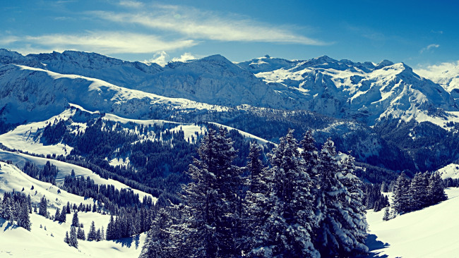 Обои картинки фото природа, зима, горы, снега, леса