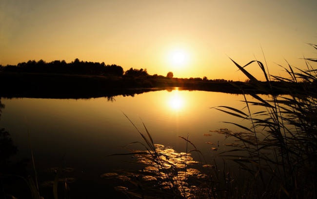 Обои картинки фото природа, восходы, закаты, трава, озеро, закат