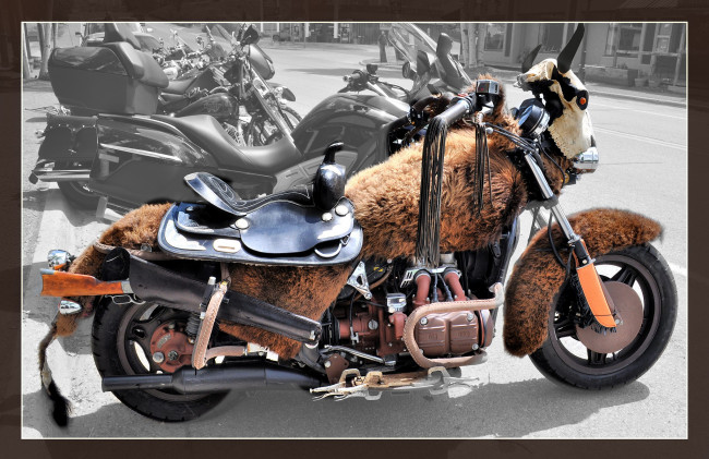 Обои картинки фото buffalo bill cody bike, мотоциклы, customs, байк, шкура, седло, винчестер