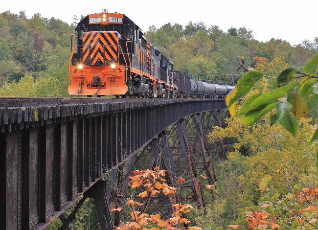 Обои картинки фото техника, поезда, вагоны, грузовой, состав, локомотив, железная, дорога, мост, рельсы