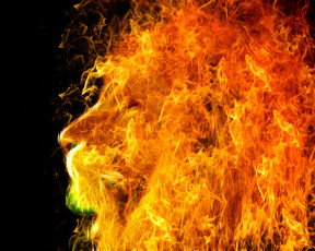 Картинка разное компьютерный+дизайн хищник огонь профиль лев животное