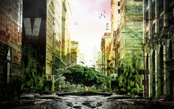 Картинка фэнтези иные+миры +иные+времена дерево улица запустение город постапокалипсис