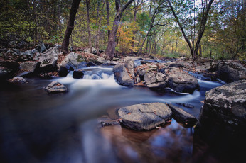 Картинка природа реки озера камни осень ручей река лес