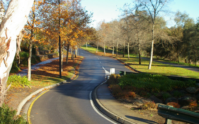 Обои картинки фото природа, дороги, осень, деревья, ступени, парк, шоссе, дорога