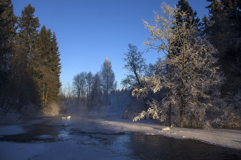 Картинка природа реки озера деревья снег
