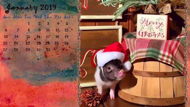 Обои картинки фото календари, праздники,  салюты, поросенок, шишка, бочка, шапка