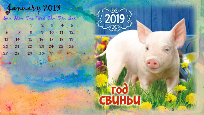 Обои картинки фото календари, праздники,  салюты, свинья, цветы, поросенок