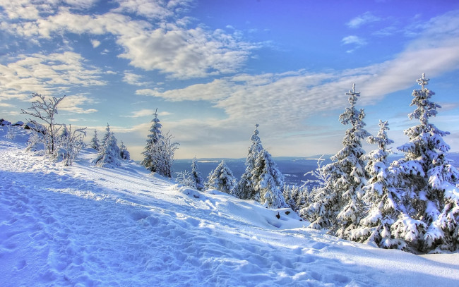 Обои картинки фото природа, зима, пейзаж, ёлки, ели, деревья, тропа, следы, небо, облака, снег, склон