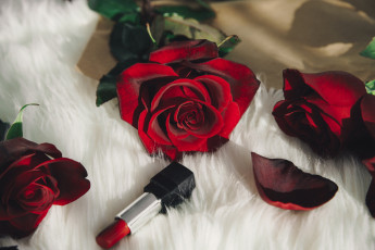 Картинка цветы розы красный помада фото любить