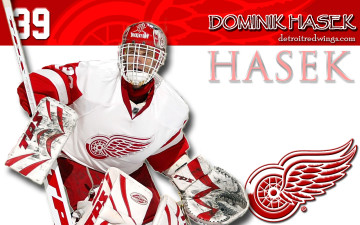 Картинка hasek спорт nhl