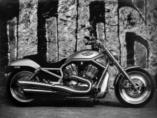 Картинка harley davidson vrsca rod 2003 мотоциклы