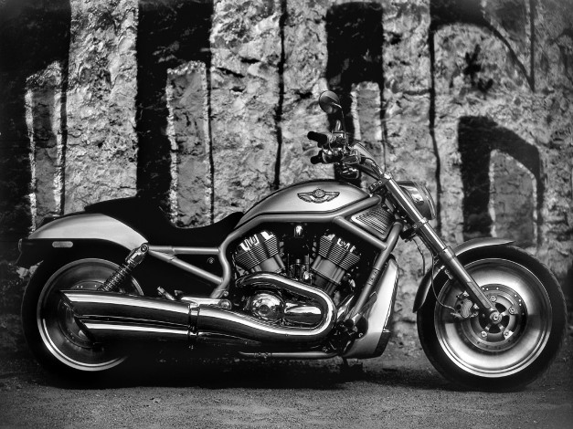 Обои картинки фото harley, davidson, vrsca, rod, 2003, мотоциклы