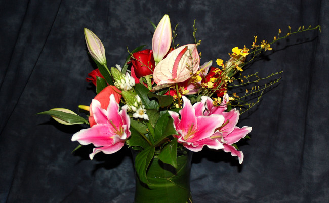 Обои картинки фото цветы, букеты, композиции, антуриум, роза, лилия, орхидея