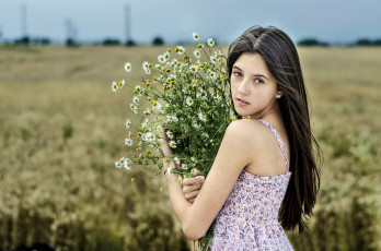 Картинка девушки -unsort+ брюнетки +шатенки букет девушка поле ромашки