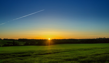 Картинка природа поля поле солнце восход