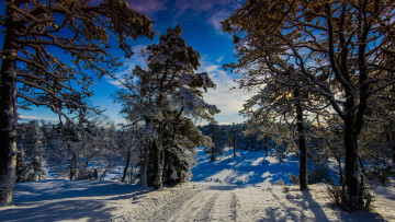 Картинка природа зима winter wonder land норвегия солнце