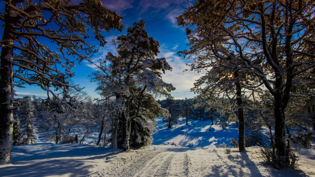 Обои картинки фото природа, зима, winter, wonder, land, норвегия, солнце