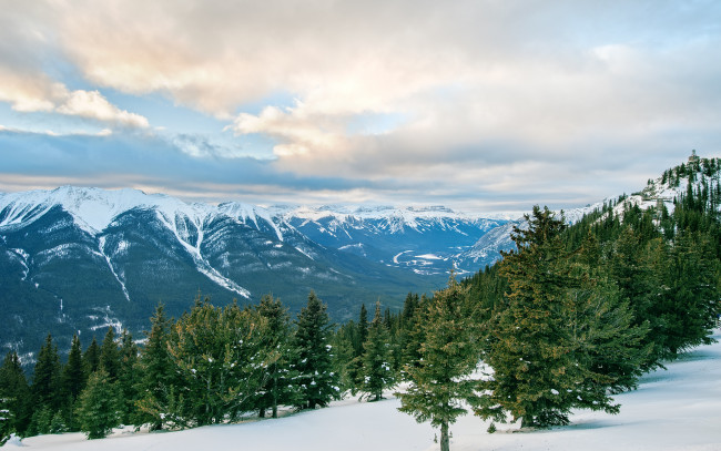 Обои картинки фото природа, горы, деревья, зима, лес, канада