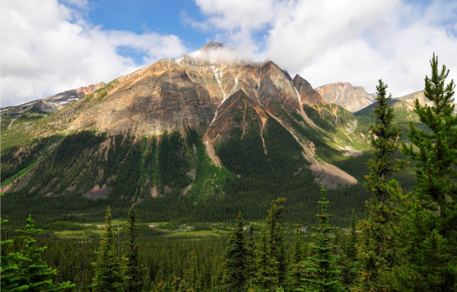 Обои картинки фото природа, горы, pyramid, mountain, jasper, national, park, деревья, небо, канада, альберта