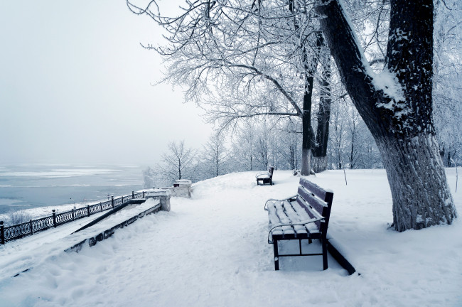 Обои картинки фото природа, зима, парк, снег, деревья