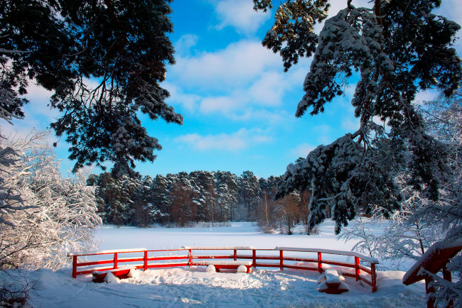 Обои картинки фото природа, зима, деревья, снег, парк