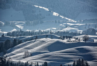 Картинка природа пейзажи горы зима склон деревья снег пейзаж