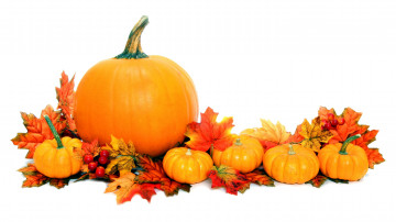 обоя еда, тыква, листья, осень, оранжевый