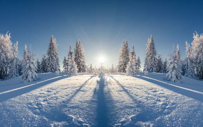 Обои картинки фото природа, зима, снег, елка, лес, nature, снежинки, winter, snow
