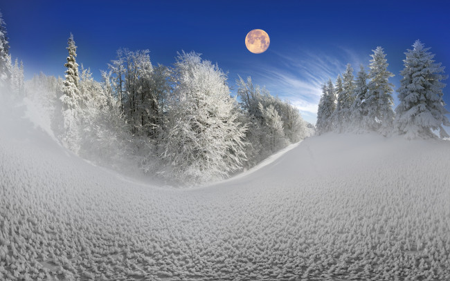 Обои картинки фото природа, зима, winter, snow, nature, лес, елка, снег, снежинки