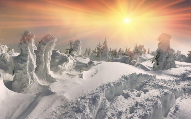 Обои картинки фото природа, зима, winter, snow, nature, лес, елка, снег, солнце