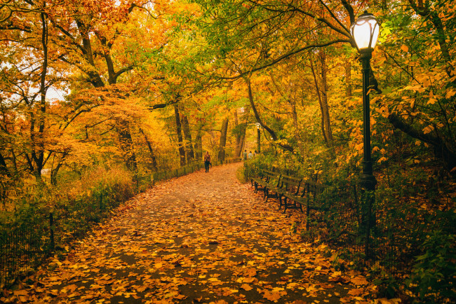 Обои картинки фото природа, парк, соединенные, штаты, нью-йорк, центральный, путь, люди, скамейки, фонарные, столбы, деревья, листья, осень
