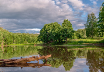 Картинка природа реки озера лесное озеро александр березуцкий лес отражение облака деревья