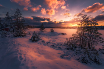 Картинка природа восходы закаты зима красиво снег