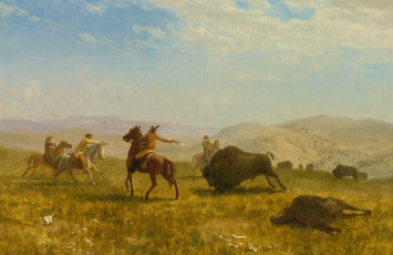 Картинка рисованное живопись альберт бирштадт дикий запад ковбой охота картина бизон