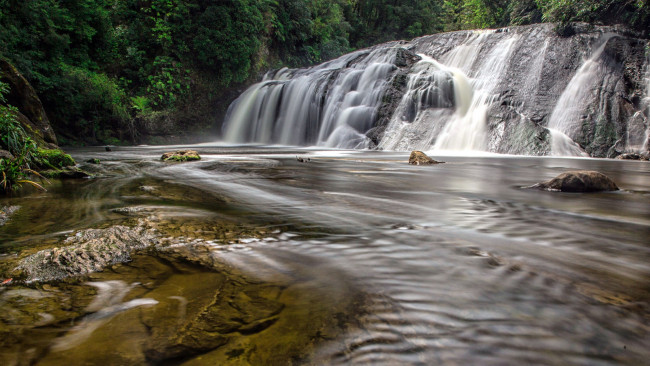 Обои картинки фото coal creek falls, new zealand, природа, водопады, coal, creek, falls, new, zealand