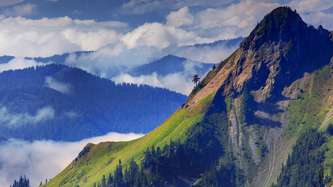 Обои картинки фото природа, горы, леса, облака