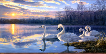 обоя darrell, bush, daybreak, рисованные, арт, лебеди, озеро, закат, пейзаж