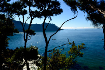 Картинка abel tasman national park австралия природа реки озера река деревья